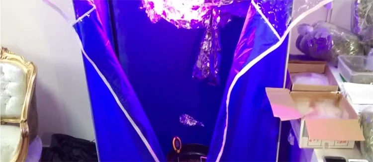 uy haber 3 FhjYIfViDO