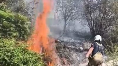 Beykoz Karlıtepe bölgesinde ağaçlık alanda yangın çıkması üzerine çok sayıda