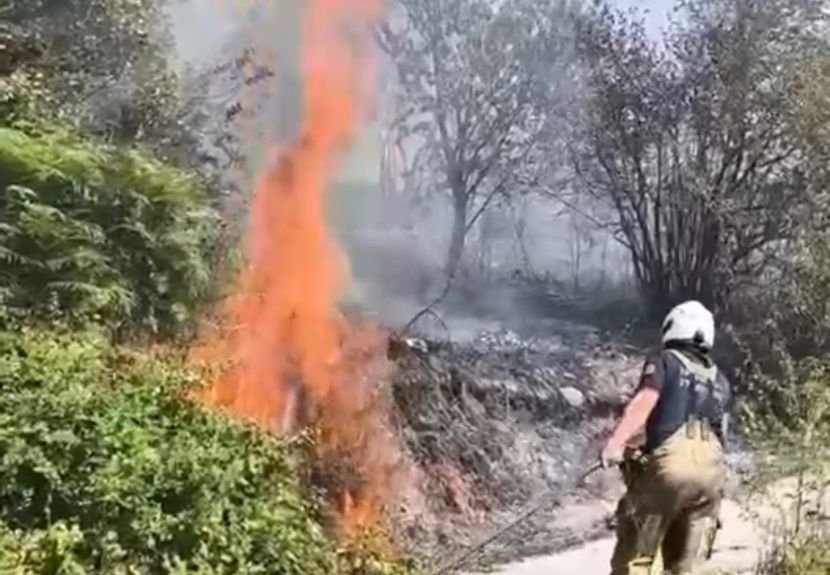 Beykoz Karlıtepe bölgesinde ağaçlık alanda yangın çıkması üzerine çok sayıda