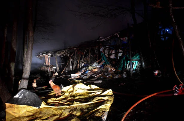 yangindb2 pTRe4LZpL5