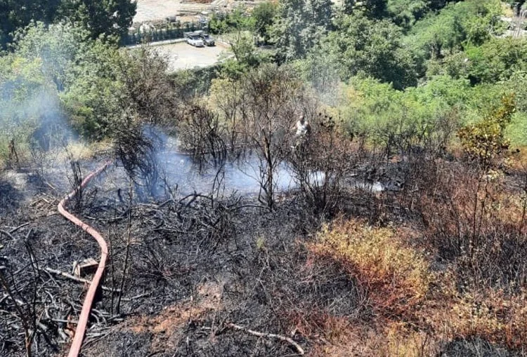 Beykoz Göztepe Mahallesi'nde yol kenarındaki ormanlık alanda yangın çıktı. İtfaiye