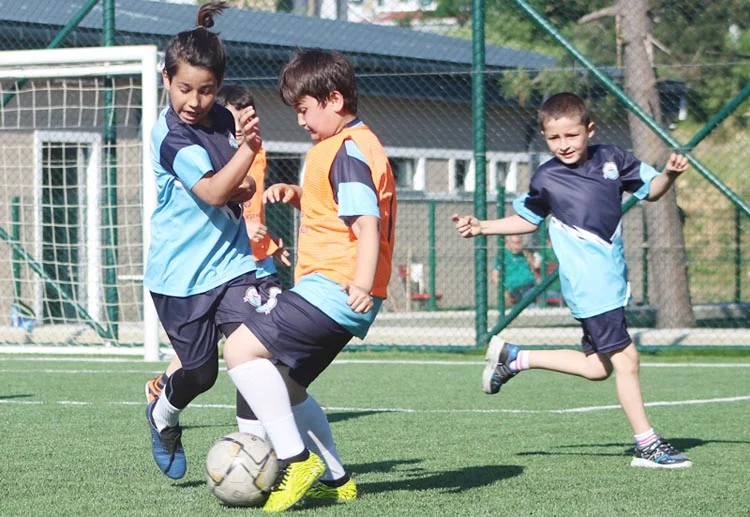 yenimahal 7c7tAOoBJK