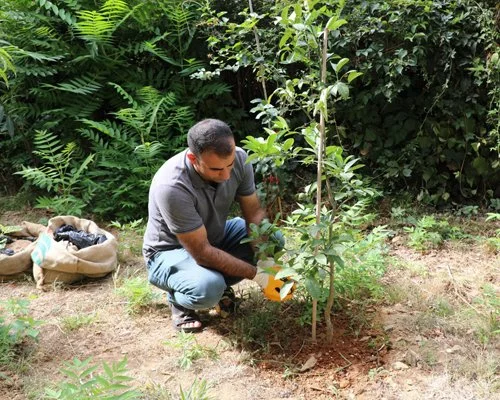 Dönemin Beykoz Belediye Başkanı Yücel Çelikbilek tarafından başlatılan Ardıç Sofrası