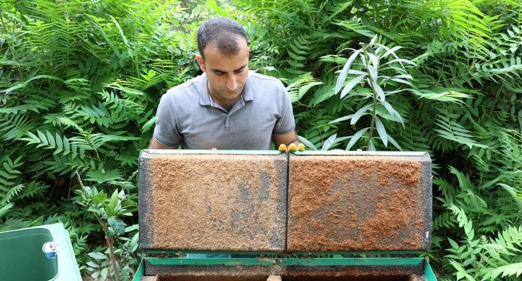 Beykoz'daki siteler Ardıç Sofrası'yla yeşeriyor 2 yes4 pdpO0p3yiB