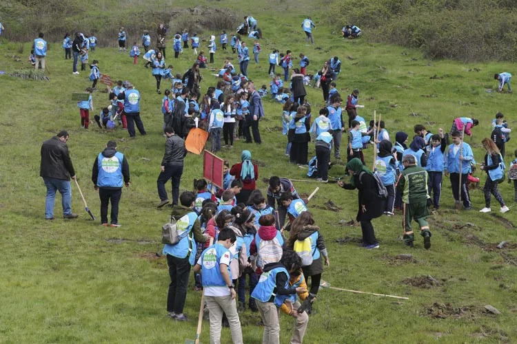 yesil okul 7 3aoVePUldG