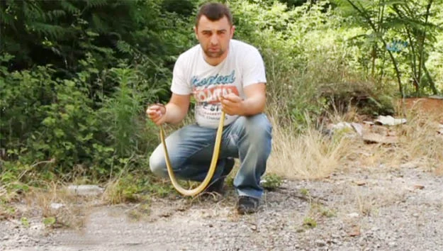 Beykoz'da özel bir üniversitenin kampusunda bulunan doğalgaz panosunun içinde yılan