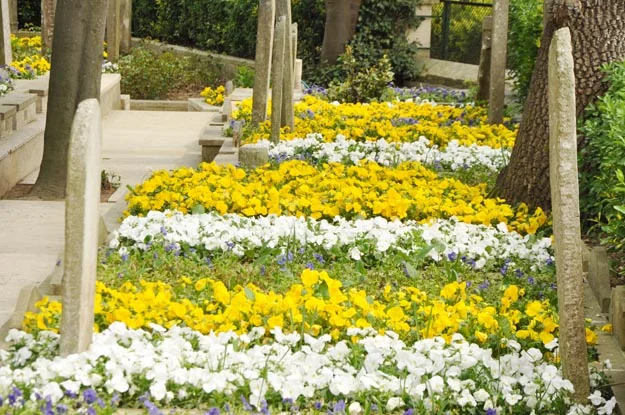 yusa hazretleri db sec 25 xR YkP9w22