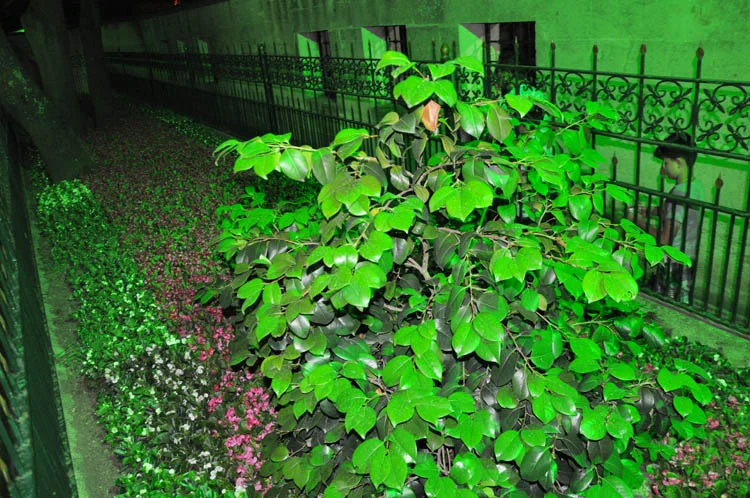 yusa secili db 5 tH ZArnAz1