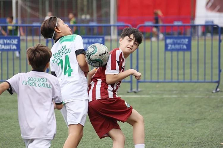 zader kupa 6 so5W439RcW