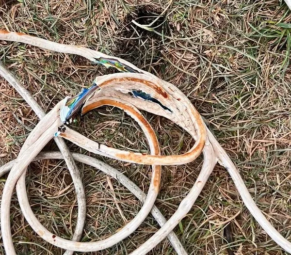 IMG 3257 e1756581173933