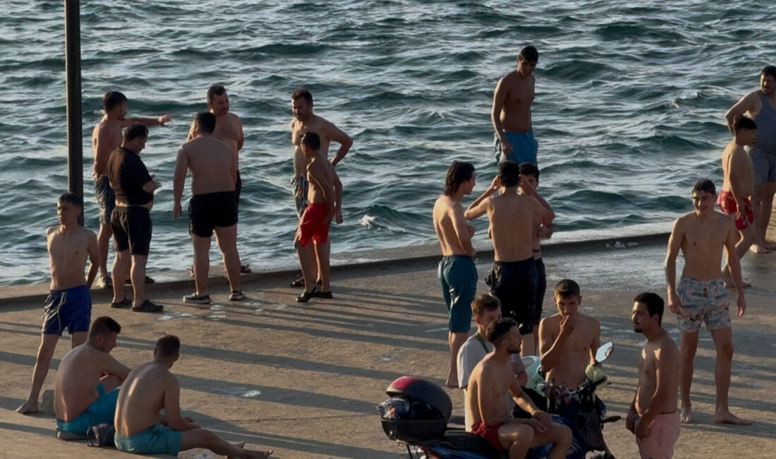 Beykoz Paşabahçe Mahallesi'nde Burunbahçe Plajı olarak bilinen alanın özelleştirilerek bir
