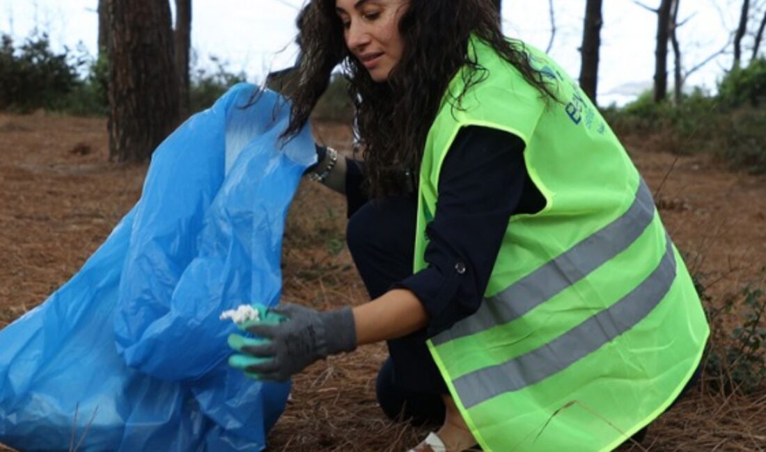 Beykoz'da Riva Arama Kurtarma Derneği ve belediye işbirliğiyle orman yangınlarına