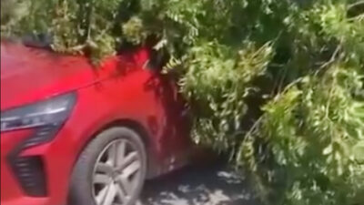 Fırtına Beykoz’da ağaçları devirdi. Beykoz’da etkili olan şiddetli fırtına bazı