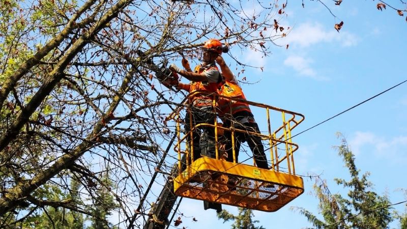 Beykoz Belediyesi Göztepe'de temizlik yaptı, vekil başkan da katıldı 3 te2