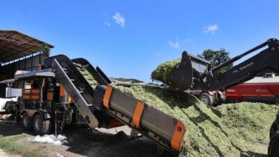 Beykoz Belediyesi, tarım ve hayvancılık alanındaki destek çalışmalarına bir yenisini