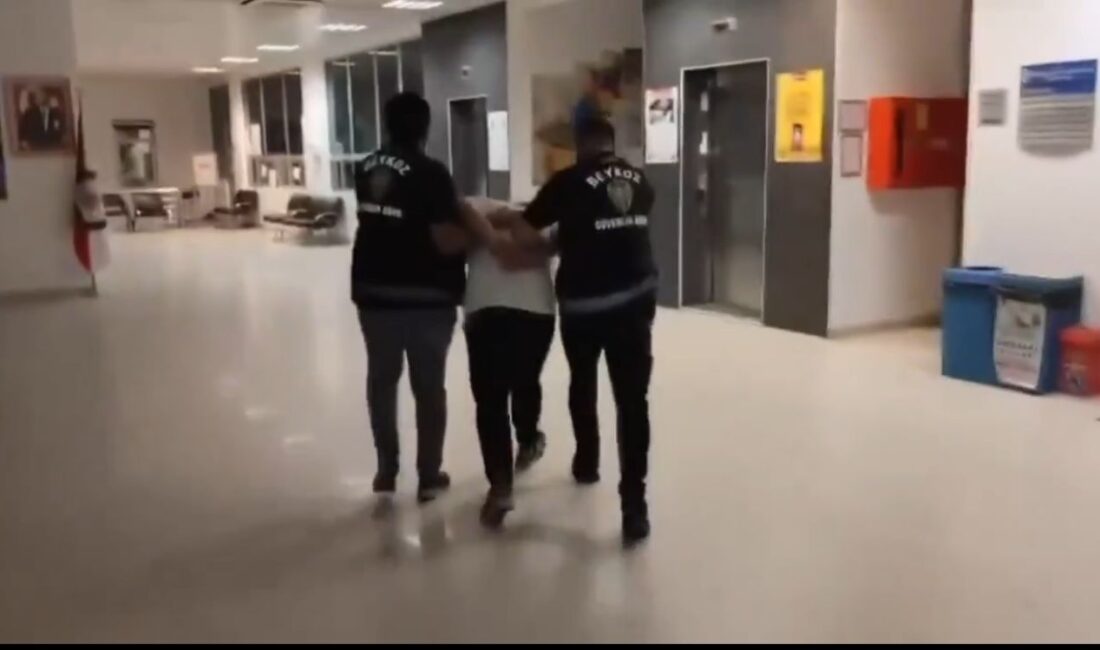 İstanbul'un Beykoz ilçesinde havai fişek atarak orman yangınına sebep olan