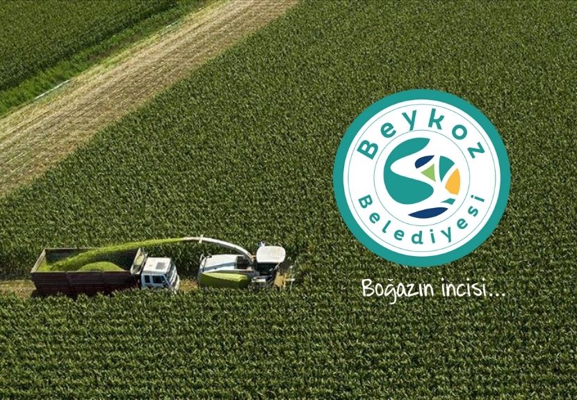 Beykoz’da bir süredir görülen şap hastalığı nedeniyle daha önce planlanan