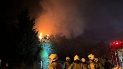 Beykoz Rüzgarlıbahçe Mahallesi’ndeki ormanlık alanda gece yarısında çıkan yangın itfaiye