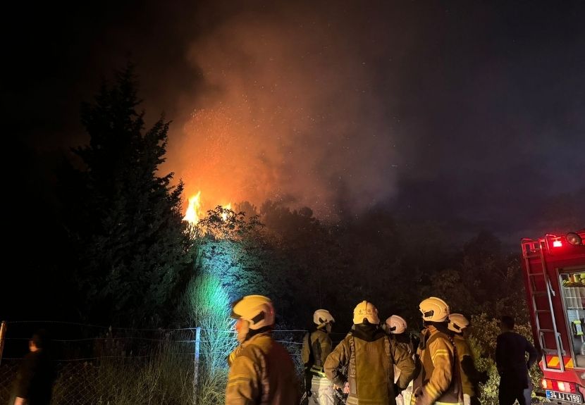 Beykoz Rüzgarlıbahçe Mahallesi’ndeki ormanlık alanda gece yarısında çıkan yangın itfaiye