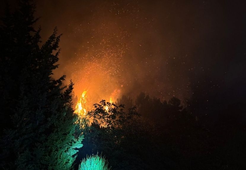 Beykoz Rüzgarlıbahçe’de orman alev aldı 1 yan1
