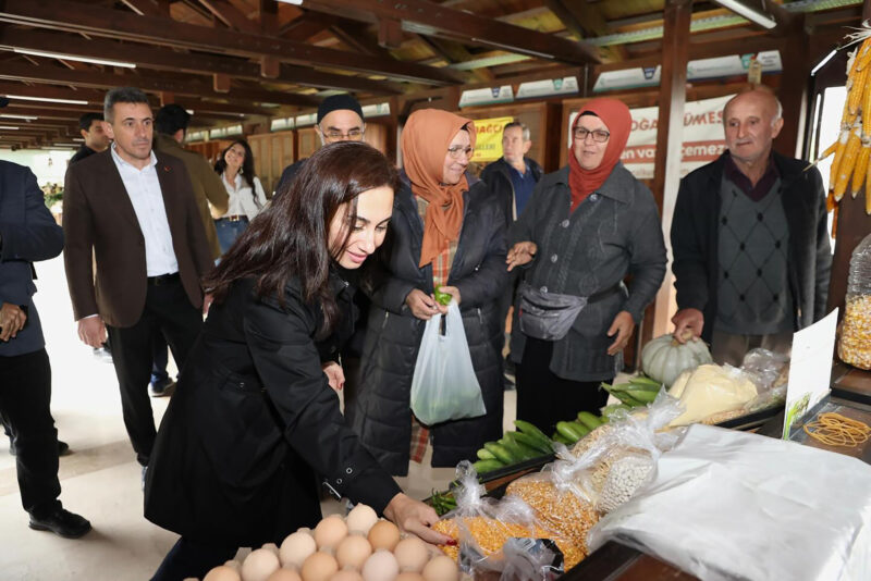 beykoz belediyesi ciftcilere kislik fide dagitti 6 e1760194525516