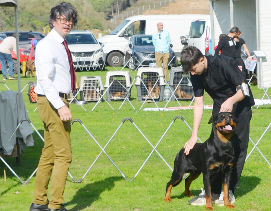 rodi 1 e1761925804143