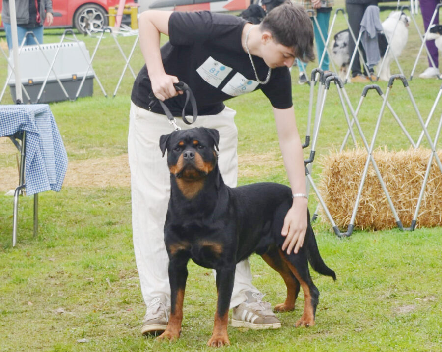 rodi 2 e1761925762192