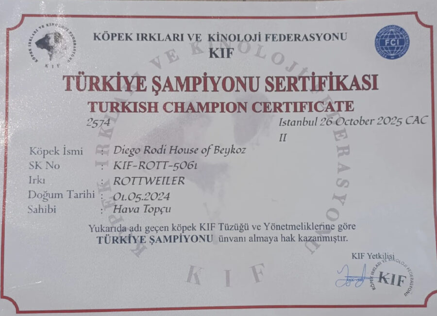 rodi 5 e1761925830299