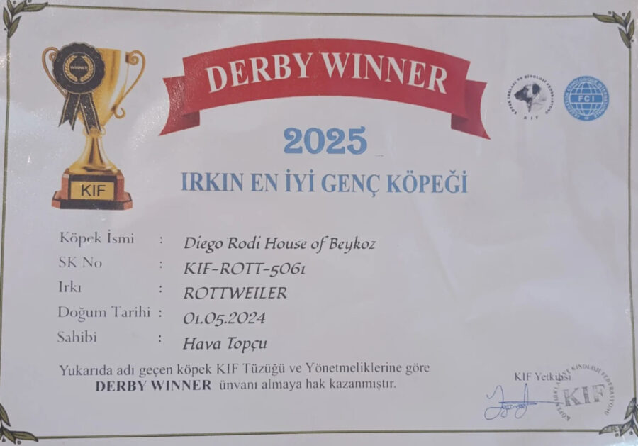 rodi 6 e1761925848420