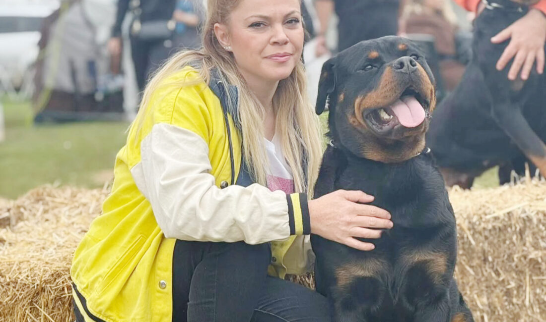 Dünya çapında bir kuruluş olan Köpek Irkları Federasyonu (KIF)’in Türkiye'de