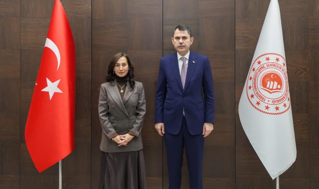 Beykoz Belediye Başkan Vekili Özlem Vural Gürzel, Çevre, Şehircilik ve