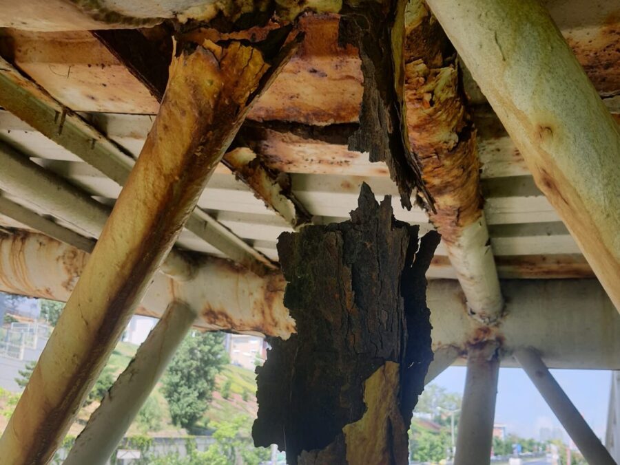 beykozda disi seni yakar ici beni ust gecidi 2 e1763325068329