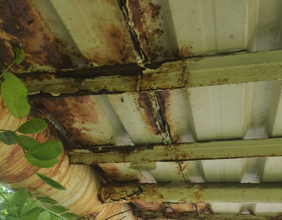 beykozda disi seni yakar ici beni ust gecidi 3 e1763325149103