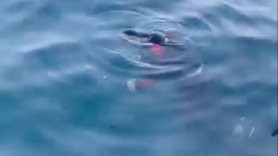 Çubuklu Sahili’nde balık tutan vatandaşlar, hareketsiz bir bedenin kıyıya vurduğu