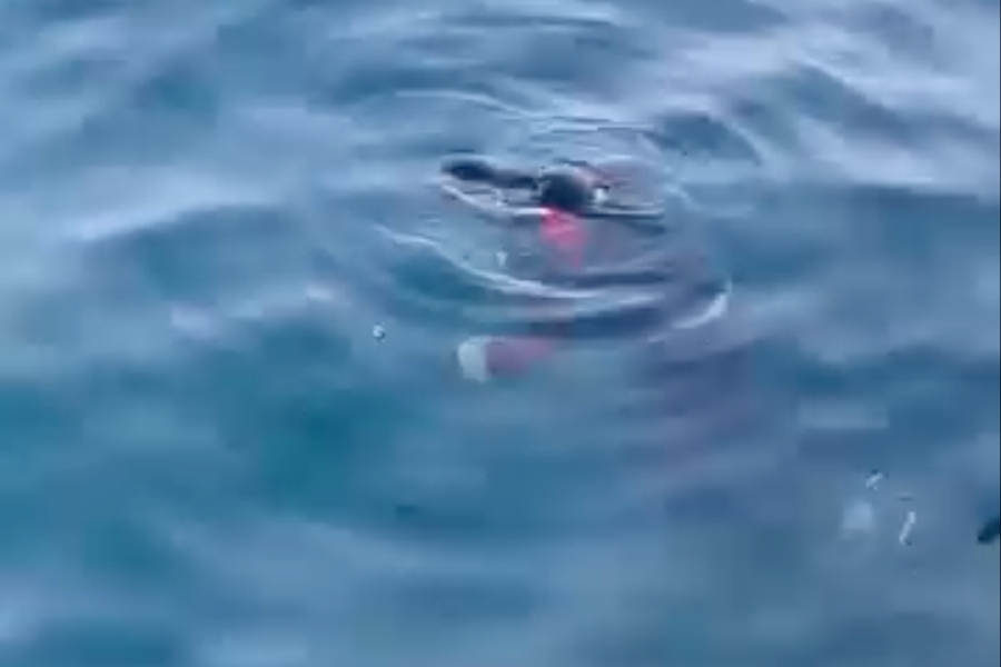 Çubuklu Sahili’nde balık tutan vatandaşlar, hareketsiz bir bedenin kıyıya vurduğu