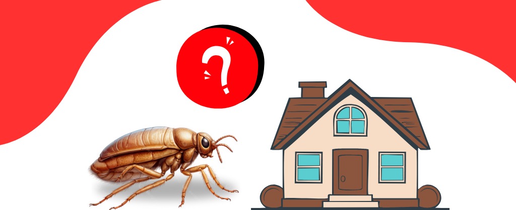 WhatsApp Image 2026 01 29 at 20.28.15 2