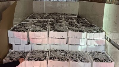 Beykoz Belediyesi, İlçe Tarım ve Orman Müdürlüğü, Sahil Güvenlik ekiplerince