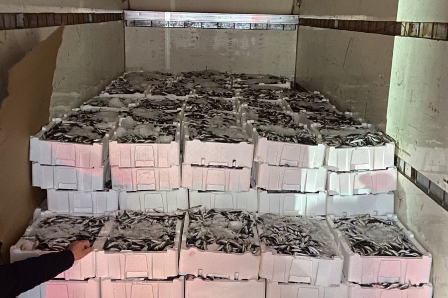 Beykoz Belediyesi, İlçe Tarım ve Orman Müdürlüğü, Sahil Güvenlik ekiplerince