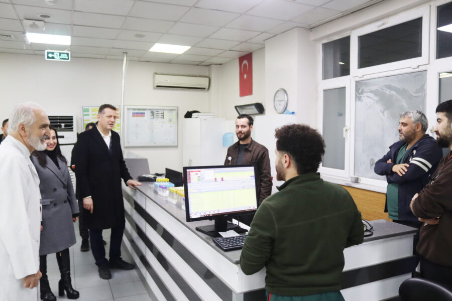 hsatane 3 scaled e1767264246629