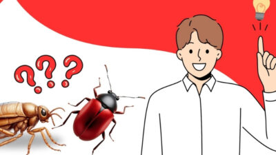 Son yıllarda evlerde görülen böcek ve pire sorunları, yalnızca hijyenle