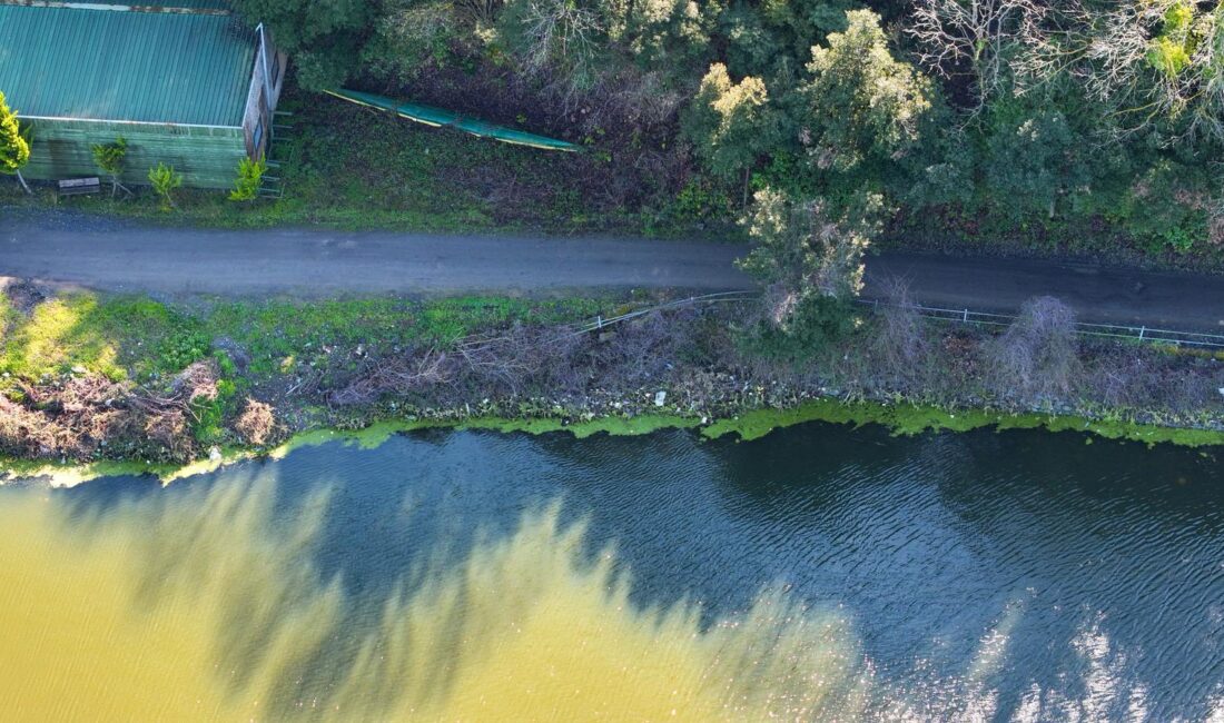 Beykoz’un Fatih Mahallesi sınırlarında, ormanlık alanla çevrili Elmalı Barajı’nın kıyısında