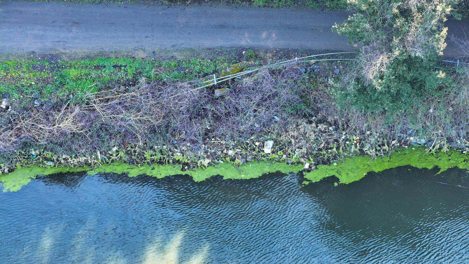 WhatsApp Image 2026 02 20 at 16.13.28