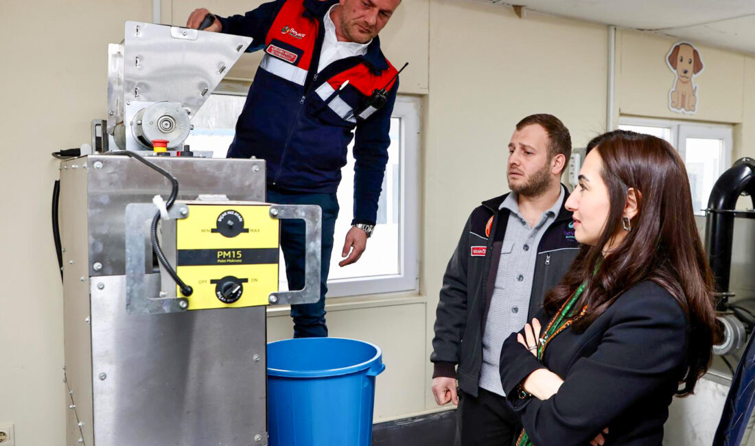 Sokak hayvanlarını mama lobisinin elinden kurtarmak isteyen Beykoz Belediyesi, mutfak