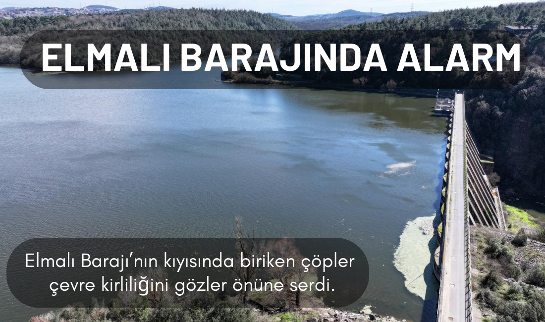 Beykoz’un Fatih Mahallesi sınırlarında, ormanlık