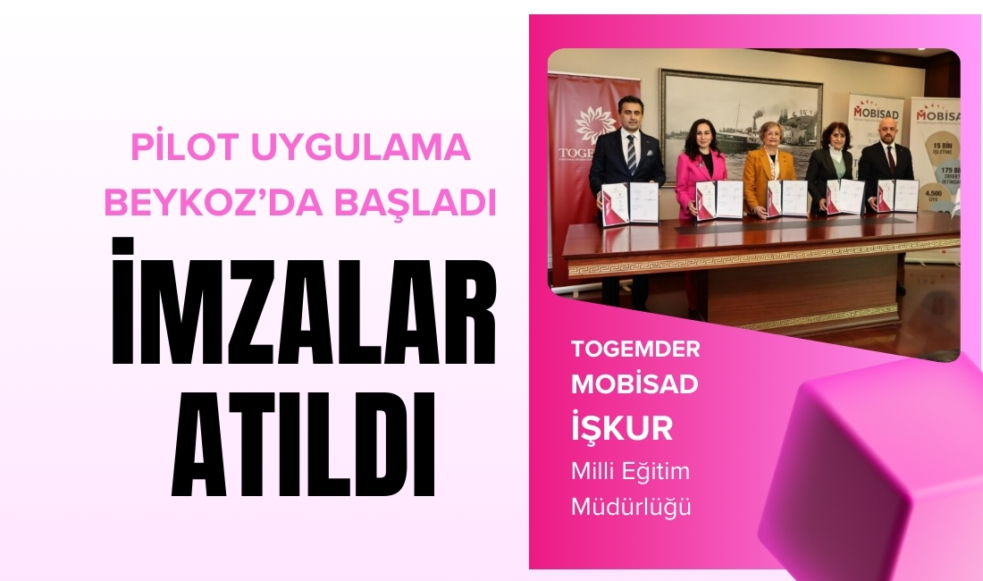 Beykoz Belediyesi; TOGEMDER, MOBİSAD, Beykoz