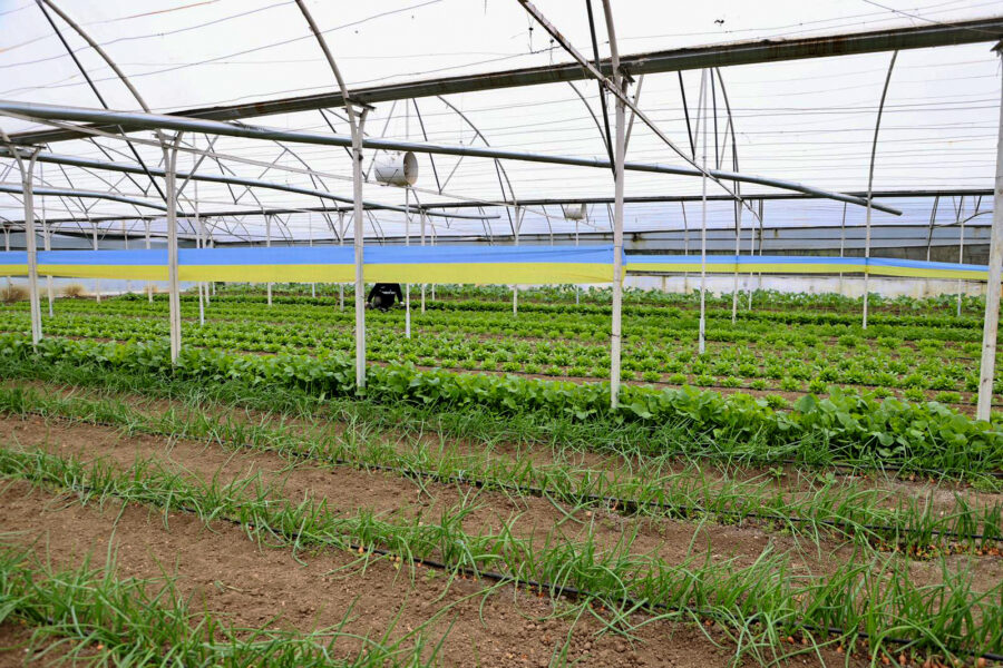 beykozda tarimin toplumsal dayanismaya etkisi 5 e1773276790113