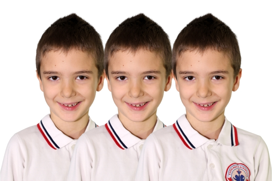 Sincap ve tavşan çok iyi  arkadaştı. Ormanda boş zamanlarını