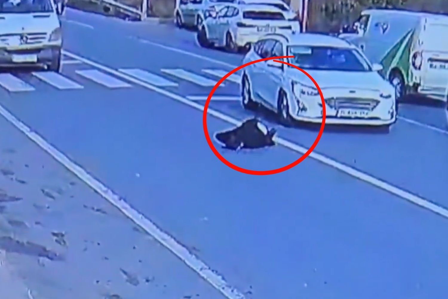 Beykoz Örnekköy’de karşıdan karşıya geçmeye çalışan yayaya otomobil çarptı. Yaya,