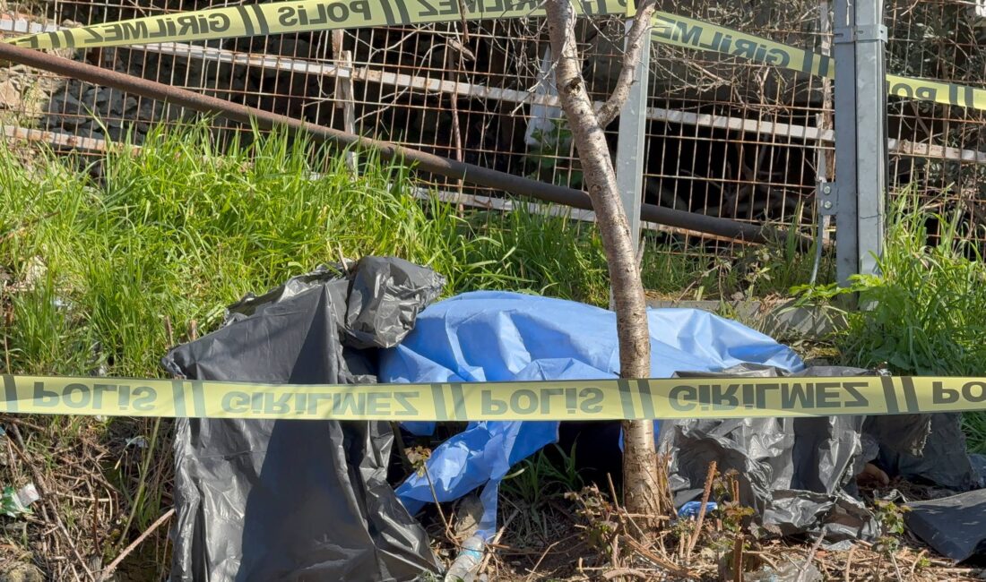 Beykoz'da motosikletin elektrik direğine çarpması sonucu meydana gelen kazada Pakistanlı