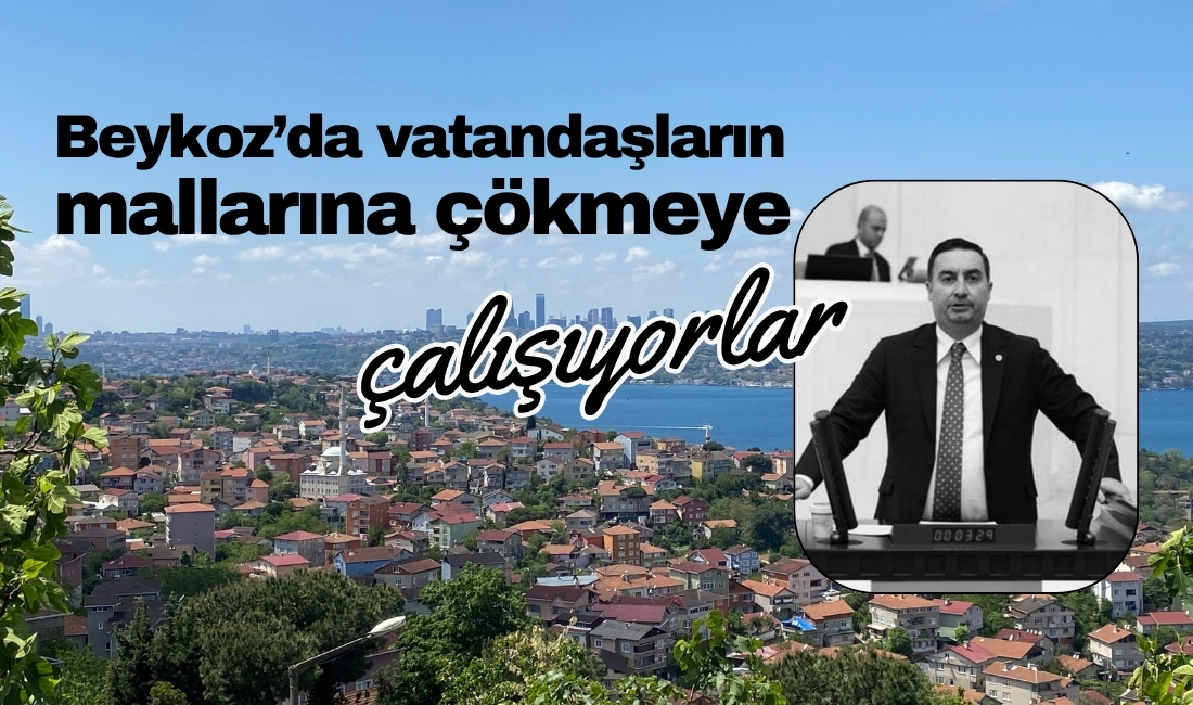 Dost Beykoz’un 2015 yılında gündeme